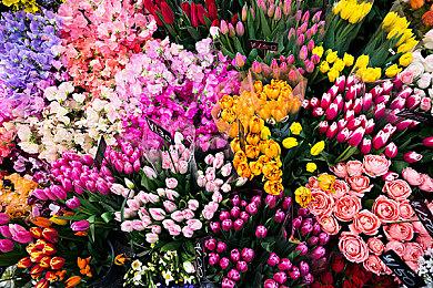 《怪物猎人：崛起》曙光将于15日推出试玩版